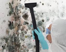 Best Real Estate Mold Inspection in Culver City, CA